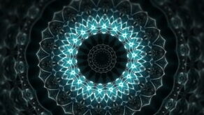 vj video background Whale-Flower-Kaleido-LIMEART-VJ-Loop-FullHD_003