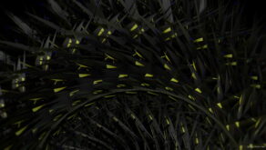 vj video background Stage-Patterns-2_1920x1080_60fps_VJLoop_LIMEART_003