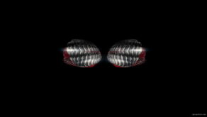 vj video background DJ-Wings_1920x1080_60fps_VJLoop_LIMEART_003