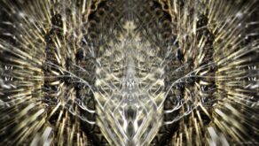 vj video background Gilded-Roots-Fine-Arts_1920x1080_60fps_VJLoop_LIMEART_003