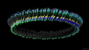 vj video background Color-Braslet-Holographic-VJ-Loop-LIMEART_003