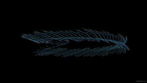 vj video background Glow-Braslet-Holographic-VJ-Loop-LIMEART_003