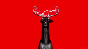 vj video background Minimal-Olenj-V1-LIMEART-FullHD_1_003