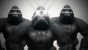 vj video background Gorilla-Brothers-VJ-Loop-LIMEART_003