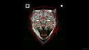 vj video background Orange-leopard-facial-animation-effect-on-black-motion-background-vj-loop_003
