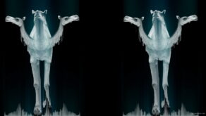 vj video background Camel-Side-Guard-Cerber-Visual-Art-VJ-Loop-R3_003
