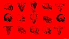 vj video background Red-Pattern-Bones-Video-Texture-Skull-Halloween-VJ-Loop_003
