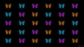 vj video background Butterflies-Tri-Color-insects-pattern-4K-Video-Art-VJ-Loop_003