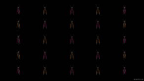 Fast-Fly-Butterfly-Dual-Color-insects-pattern-4K-Video-Art-VJ-Loop_009 VJ Loops Farm