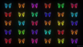 vj video background Glow-Pattern-Light-Fly-Butterflies-Collection-Video-Art-Motion-Background-4K-VJ-Loop_003