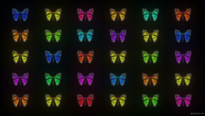 vj video background Random-Color-Light-Fly-Butterfly-Collection-Video-Art-Motion-Background-4K-VJ-Loop_003