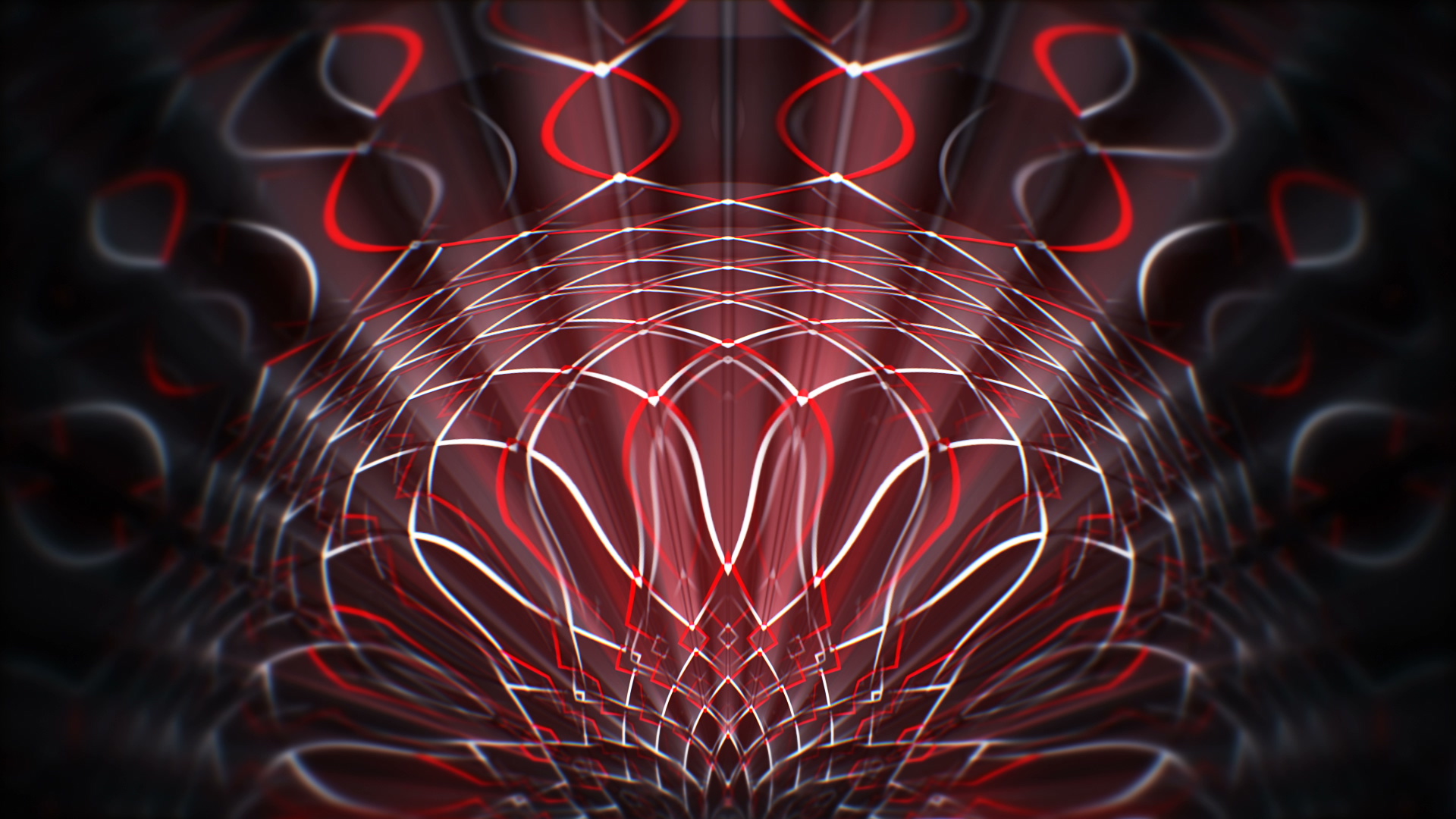 digital flower live video loop wallpaper