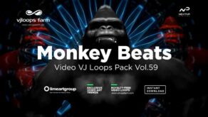 Monkey-Beats-Video-art-vj-loop