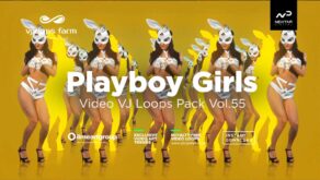 PlayboyGirls-Vjloops