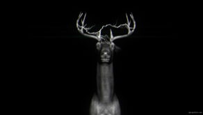 vj video background Dubstep-Neon-deers-Concert-decoration-VJ-Loop-LIMEART-FullHD_003