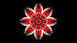 vj video background WindRose-Geometric-Flower-fullhd-VIdeo-Art-VJ-Loop_003
