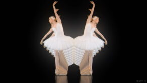 Swan-Dance-by-ballet-blondy-girl-over-black-background-VJ-Footage-y2cws9-1920_007 VJ Loops Farm
