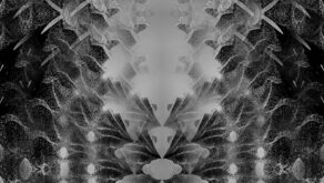 Abstract-mirroring-flying-sand-monochromatic-looped-animation-fkzdev-1920_005 VJ Loops Farm