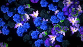 Blue-Flowers-Slowly-Flying-Over-Screen-Looped-Motion-Background-luoz7l-1920_005 VJ Loops Farm
