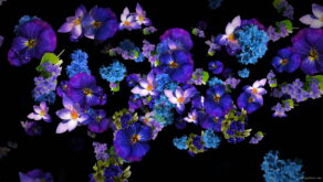 Blue-and-Purple-Violets-Flowers-move-up-right-flow-looped-concert-decorations-cmukvt-1920_004 VJ Loops Farm
