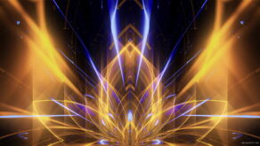 Beauty-Flower-Golden-Ice-Abstract-UltraHD-VJ-Loop-Video-Art-X2-peitsy-1920_004 VJ Loops Farm