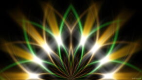 Radial-Stage-Visual-Flower-VJ-Loop-ohqjow-1920_006 VJ Loops Farm