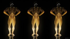 Fire-Man-Rays-Footage-Builder-Trio-on-Black-Ultra-HD-Video-Art-Video-VJ-Loop-qaeywo-1920_009 VJ Loops Farm