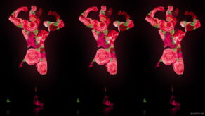 Fire-Man-in-Rose-Fall-Trio-on-Black-Ultra-HD-Video-Art-Video-VJ-Loop-thltsm-1920_007 VJ Loops Farm